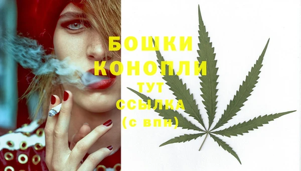 мет Елизово