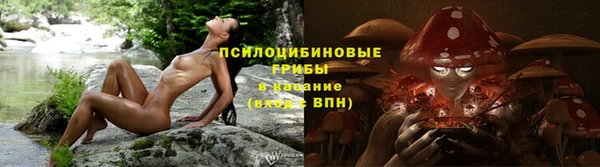 марки nbome Ельня