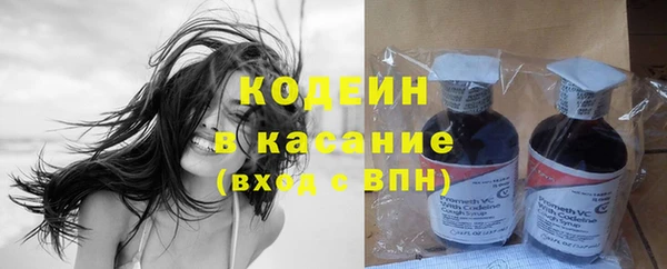 мет Елизово