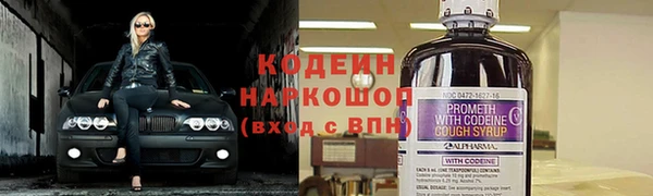 мет Елизово